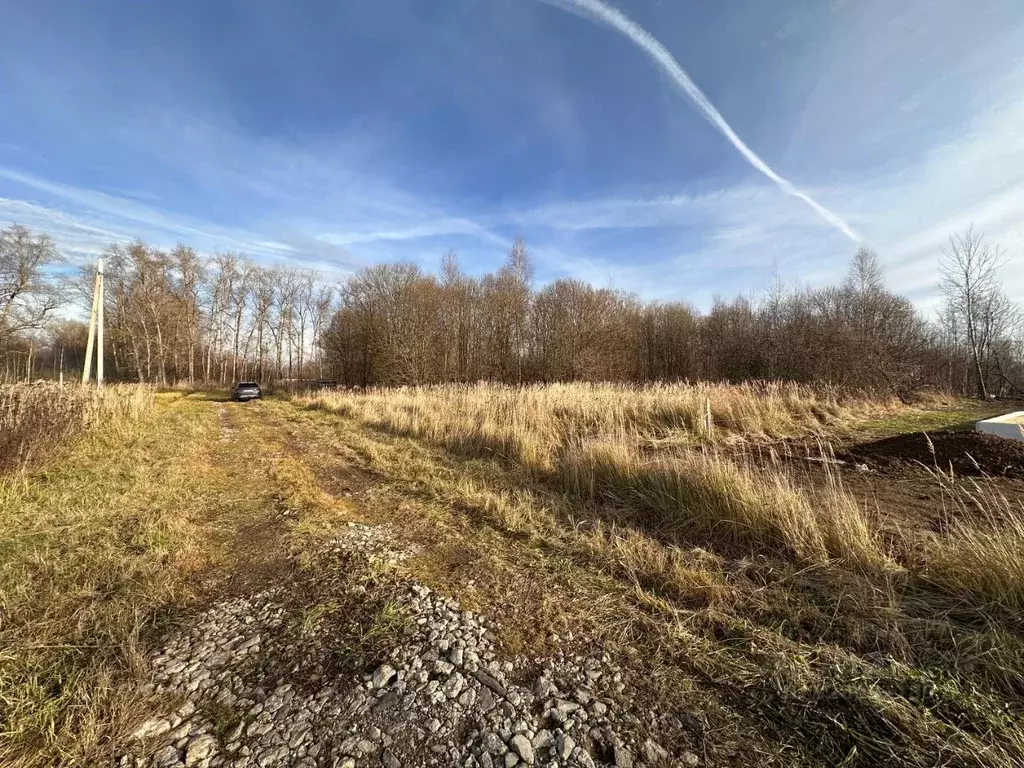Участок в Московская область, Раменский муниципальный округ, Никитские ... - Фото 2