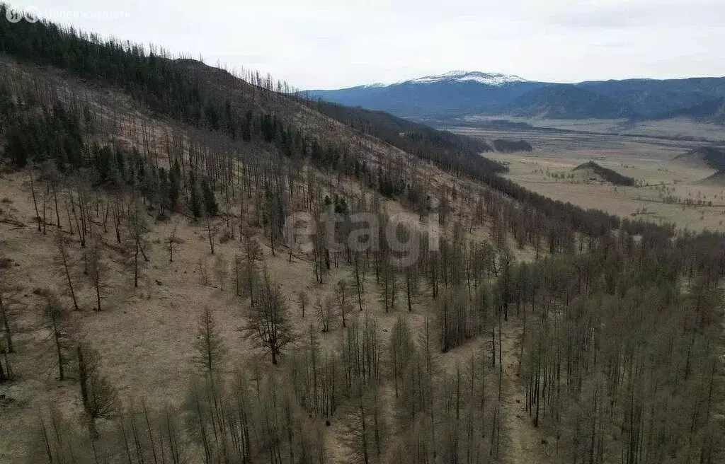 Участок в Онгудайский район, село Ело (168.59 м) - Фото 0