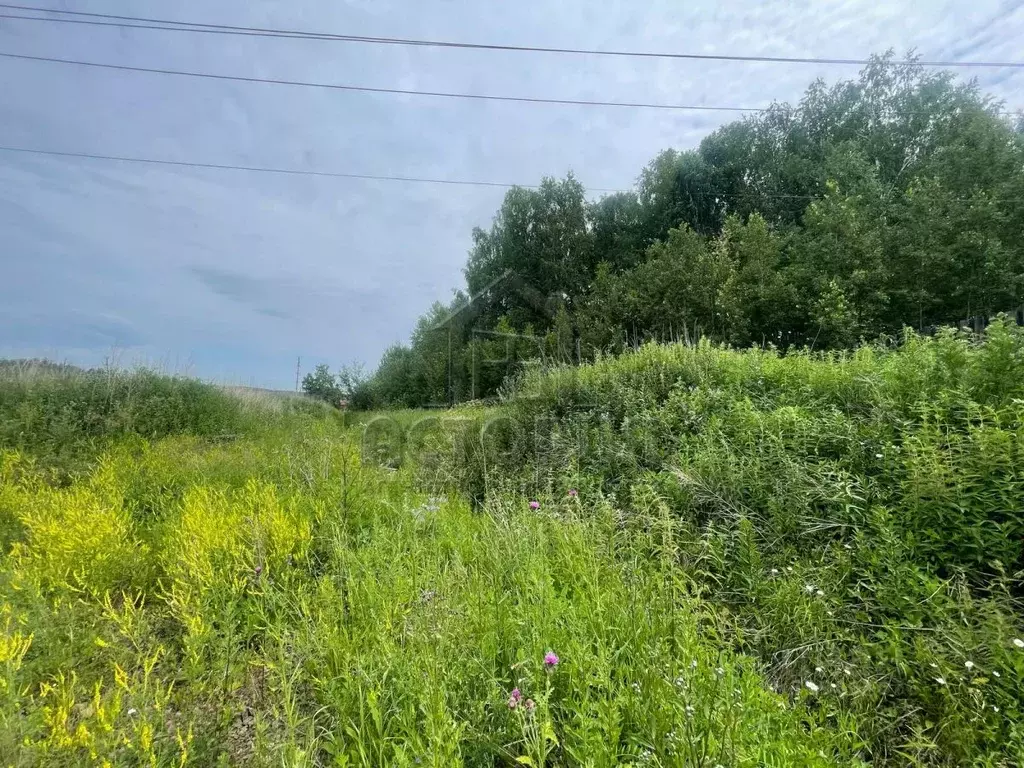 Участок в Красноярский край, Красноярск городской округ, пос. Элита ... - Фото 1