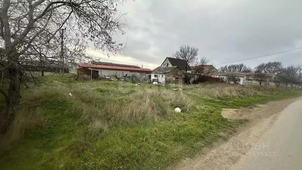 Участок в Крым, Черноморский район, с. Новосельское, Дружба СНТ ул. ... - Фото 1