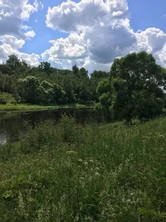 Участок в Московская область, Руза  (10.0 сот.) - Фото 1