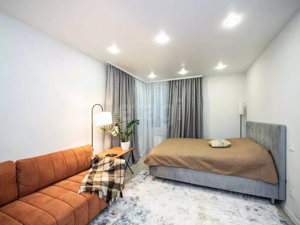 Студия Новосибирская область, Новосибирск ул. Кирова, 113/2 (33.0 м) - Фото 2