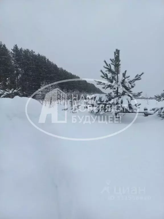 Участок в Пермский край, Чернушинский городской округ, с. Сульмаш  ... - Фото 0