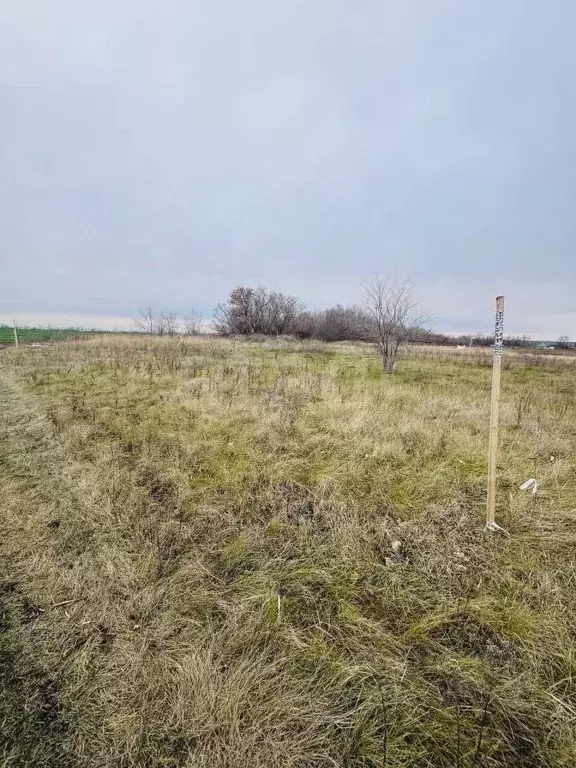 Участок в Воронежская область, Воронеж Подклетный мкр,  (7.94 сот.) - Фото 1