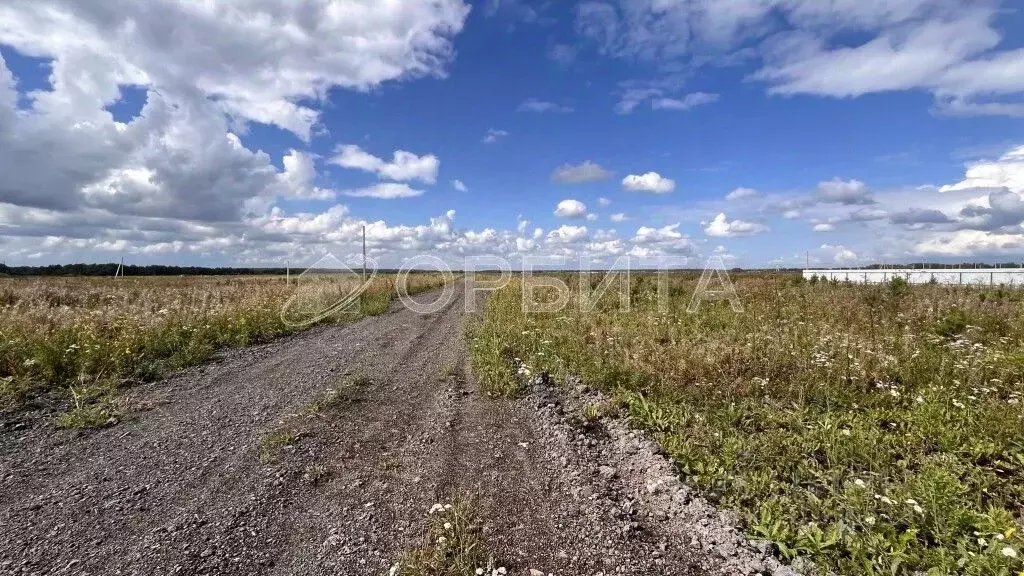 Участок в Тюменская область, Тюменский район, д. Малиновка ул. ... - Фото 0