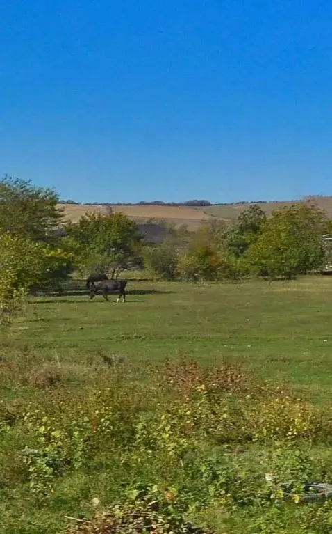 Участок в Карачаево-Черкесия, Псыж аул ул. Братьев Кишмаховых (10.0 ... - Фото 1