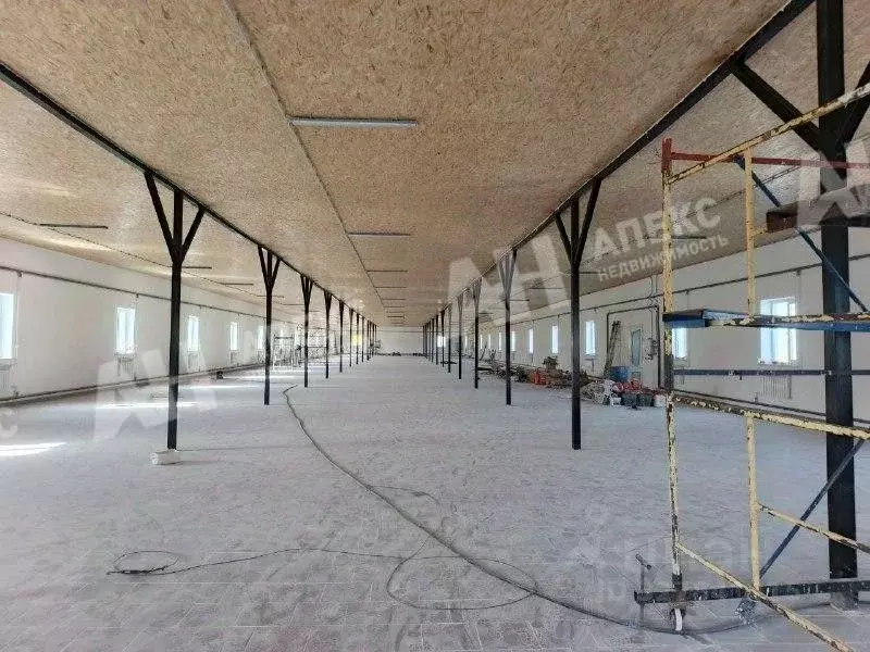 Склад в Московская область, Богородский городской округ, пос. Зеленый ... - Фото 1