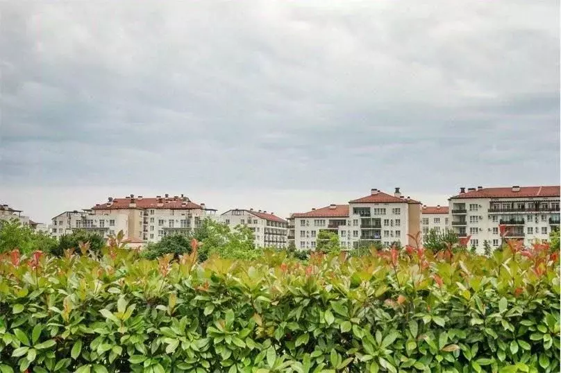 2-к кв. Краснодарский край, Сириус пгт ул. Триумфальная, 12/4 (60.0 м) - Фото 1