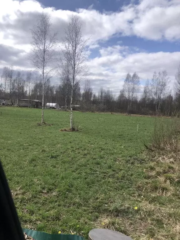 Участок в Ленинградская область, Всеволожский район, Колтушское ... - Фото 0