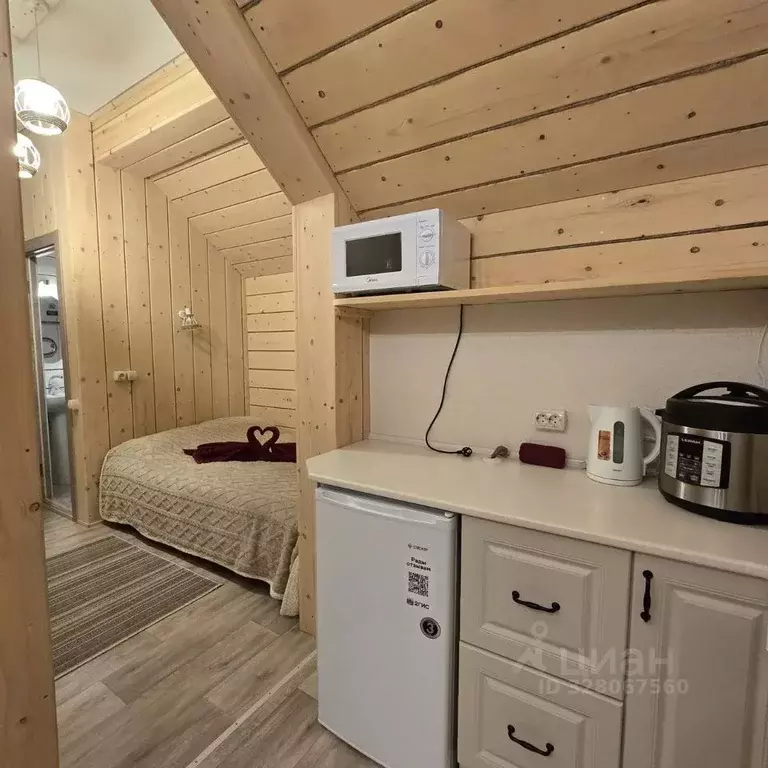 2-к кв. Алтайский край, Белокуриха Сосновый пер., 10/2 (22.0 м) - Фото 1