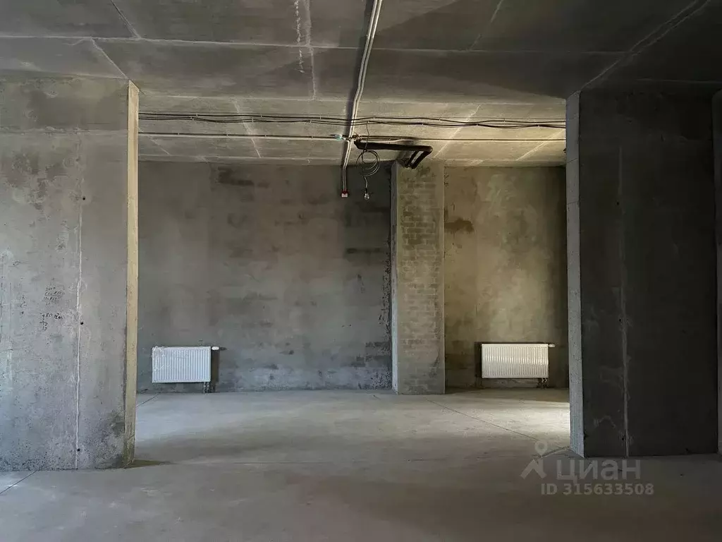 Помещение свободного назначения в Татарстан, Казань ул. Алексея ... - Фото 1