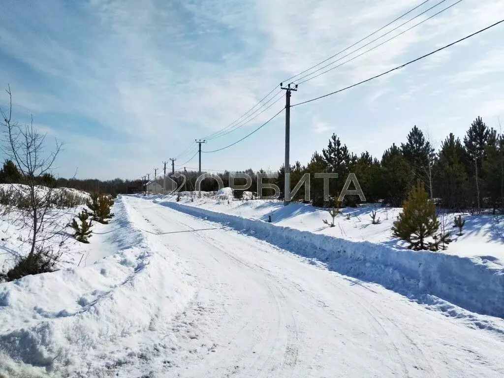 Участок в Тюменская область, Нижнетавдинский район, д. Московка 4-я ... - Фото 1