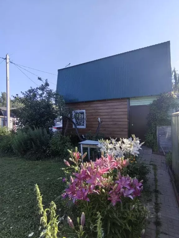 Дом в Марий Эл, Оршанка пгт, Юбилейный СНТ 2-я линия, 219 (42 м) - Фото 2