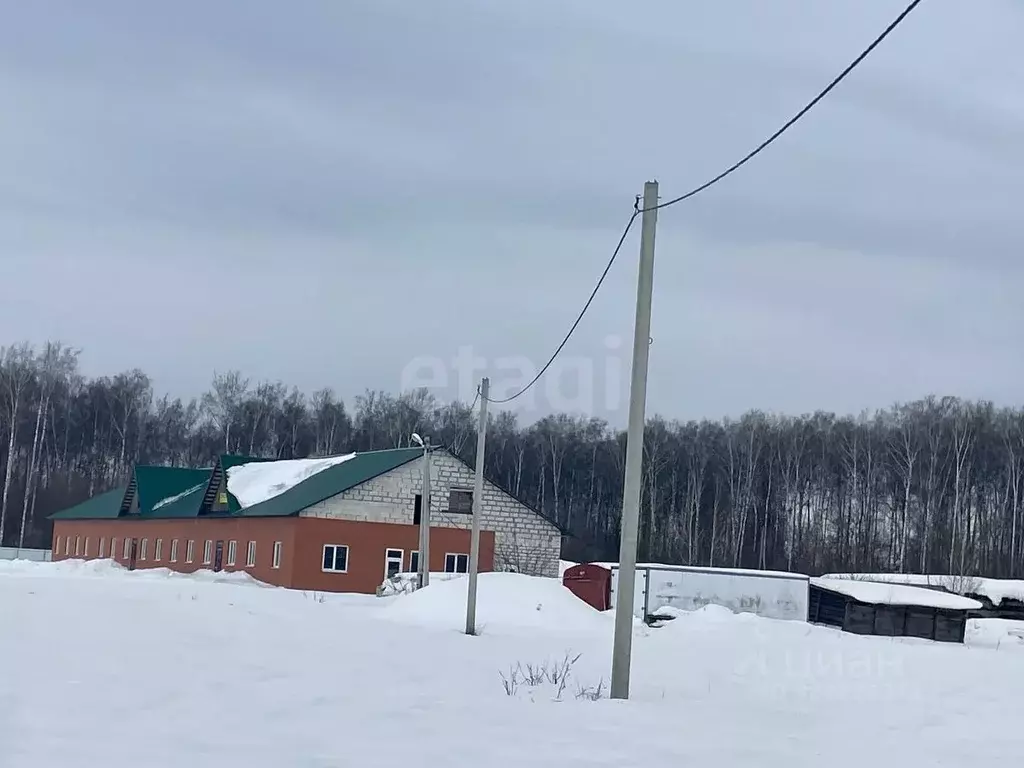 Помещение свободного назначения в Тамбовская область, Рассказовский ... - Фото 2