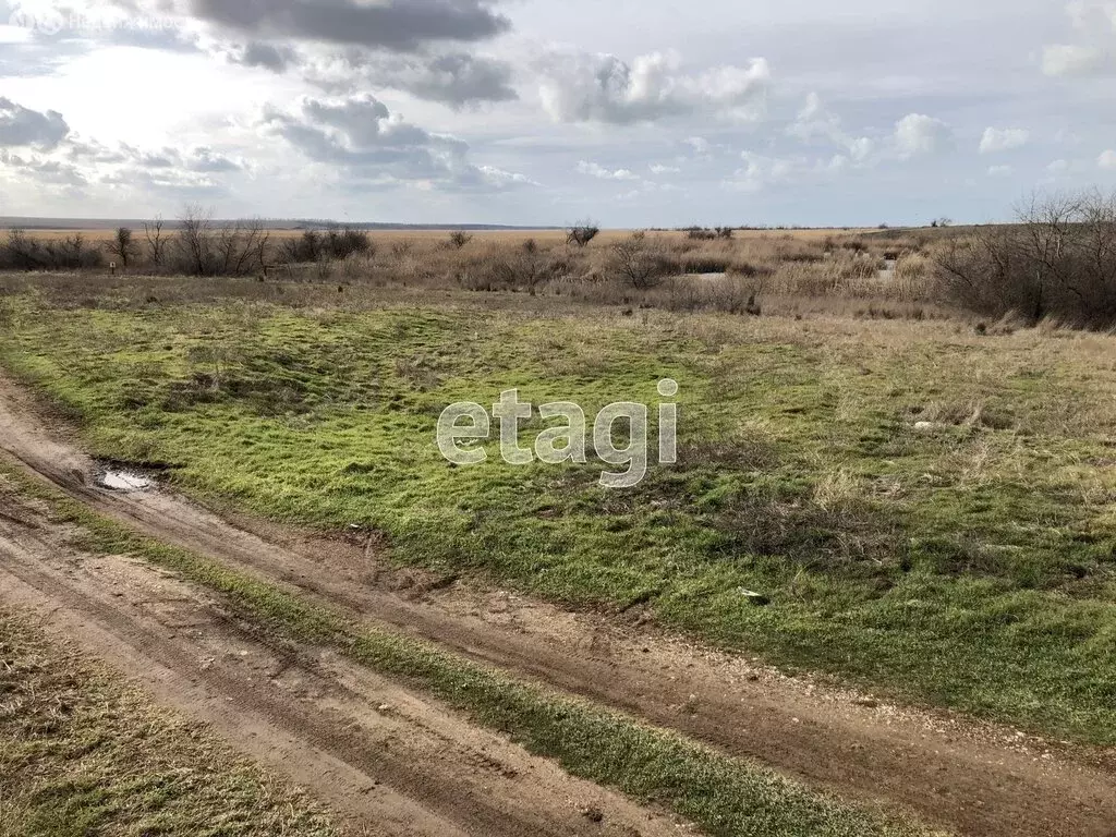 Участок в Сакский район, село Лесновка (25 м) - Фото 1