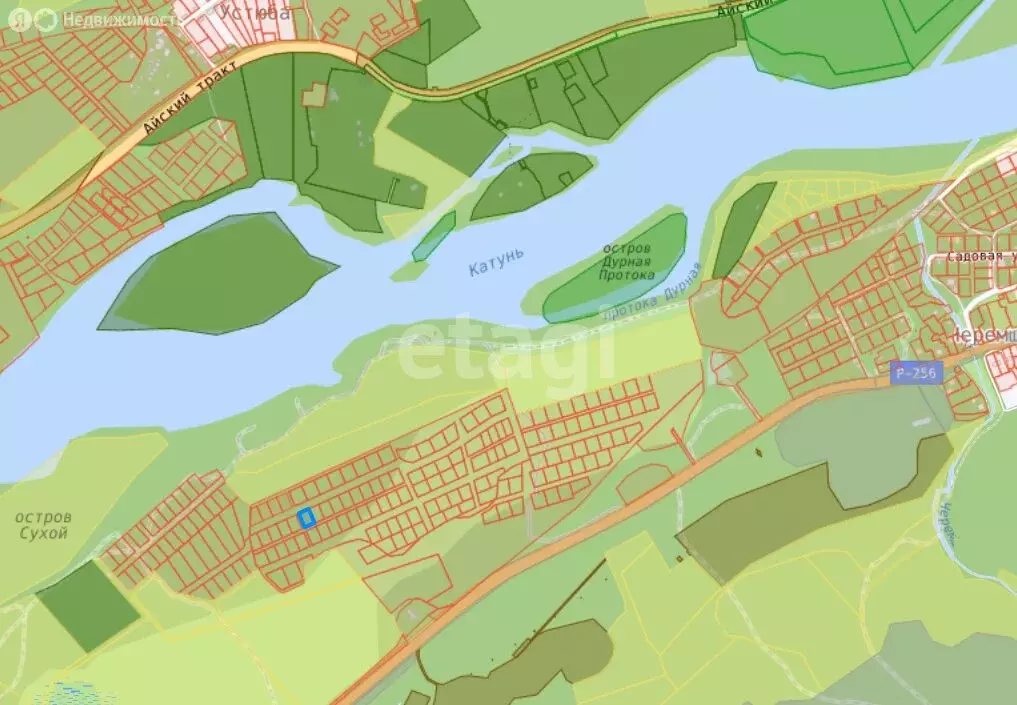 Участок в Майминский район, Соузгинское сельское поселение, посёлок ... - Фото 1