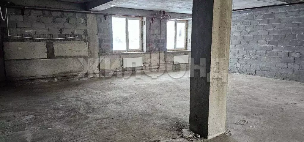 Помещение свободного назначения в Новосибирская область, Новосибирский ... - Фото 2