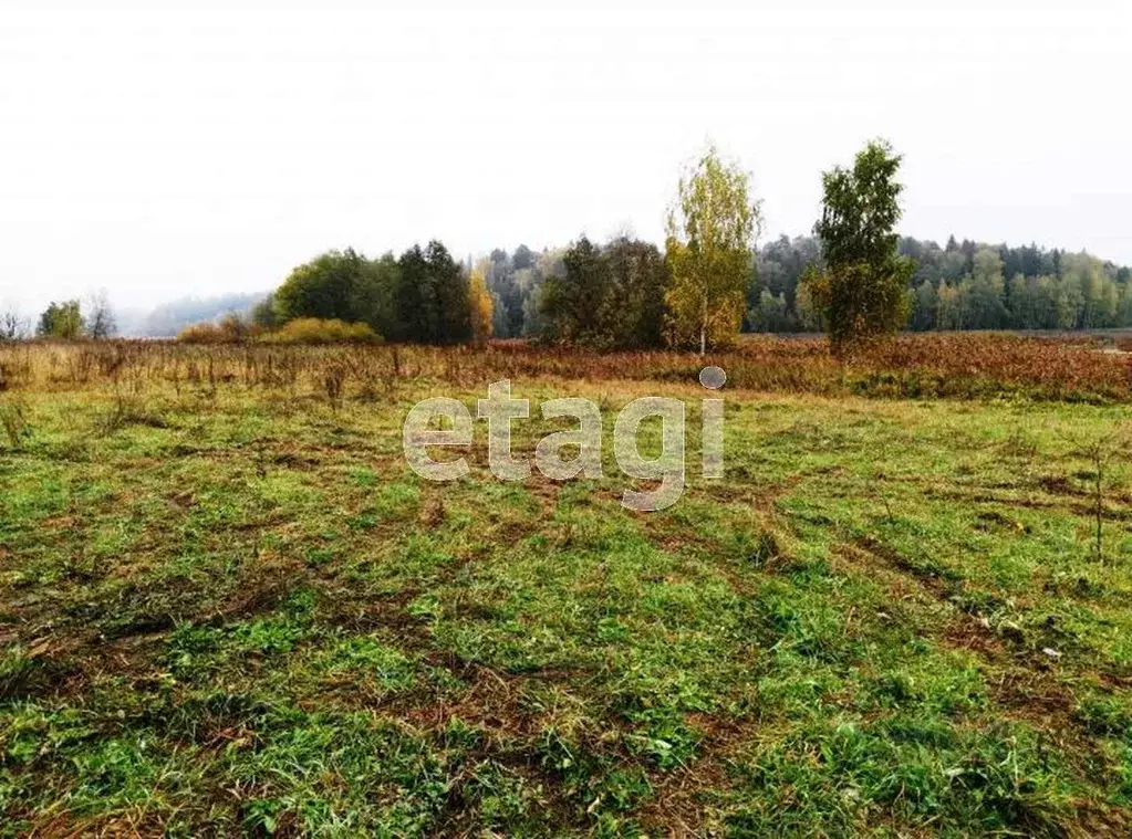 Участок в Вологодская область, с. Имени Бабушкина  (15.0 сот.) - Фото 1