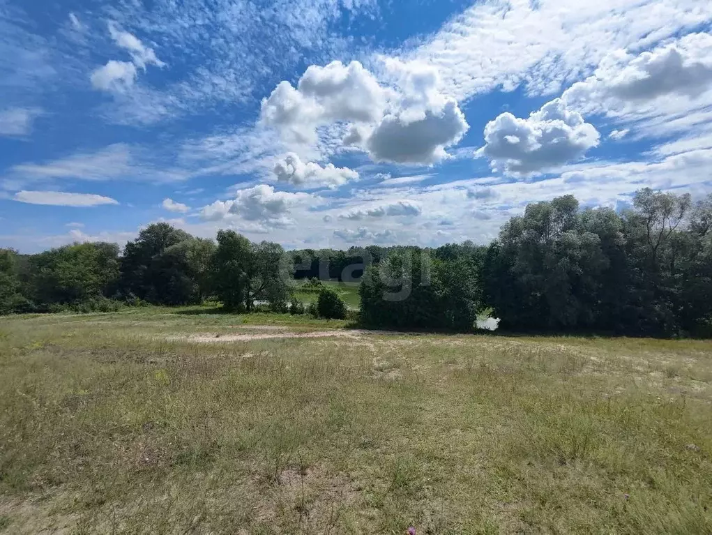 Участок в Саратовская область, Балашовский район, с. Репное ул. ... - Фото 1