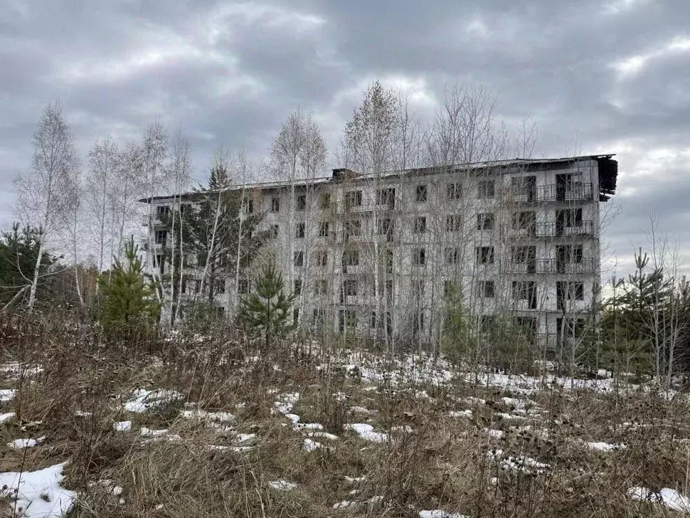 Участок в Иркутская область, Залари рп  (2164.0 сот.) - Фото 2