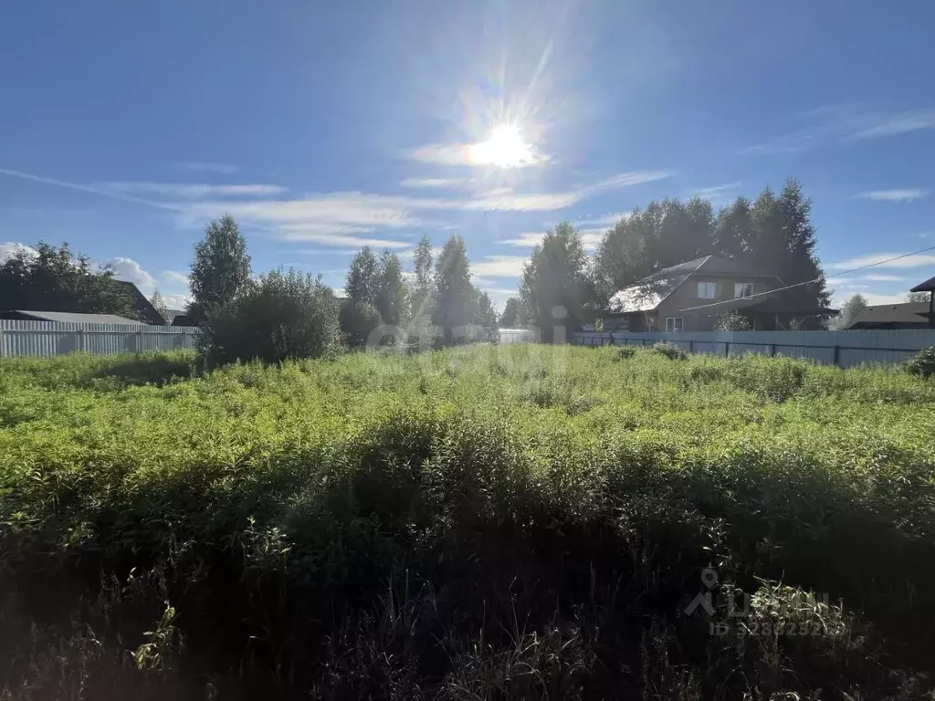 Участок в Новосибирская область, Новосибирский район, Каменский ... - Фото 1