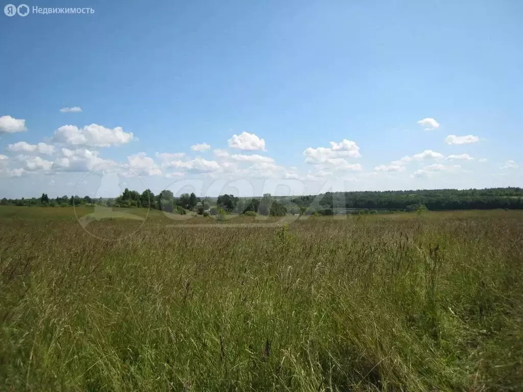 Участок в Тюменская область, Исетский муниципальный округ, село ... - Фото 1