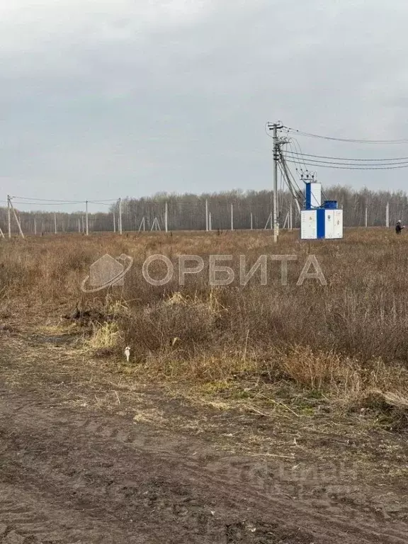 Участок в Тюменская область, Тюменский муниципальный округ, с. ... - Фото 1