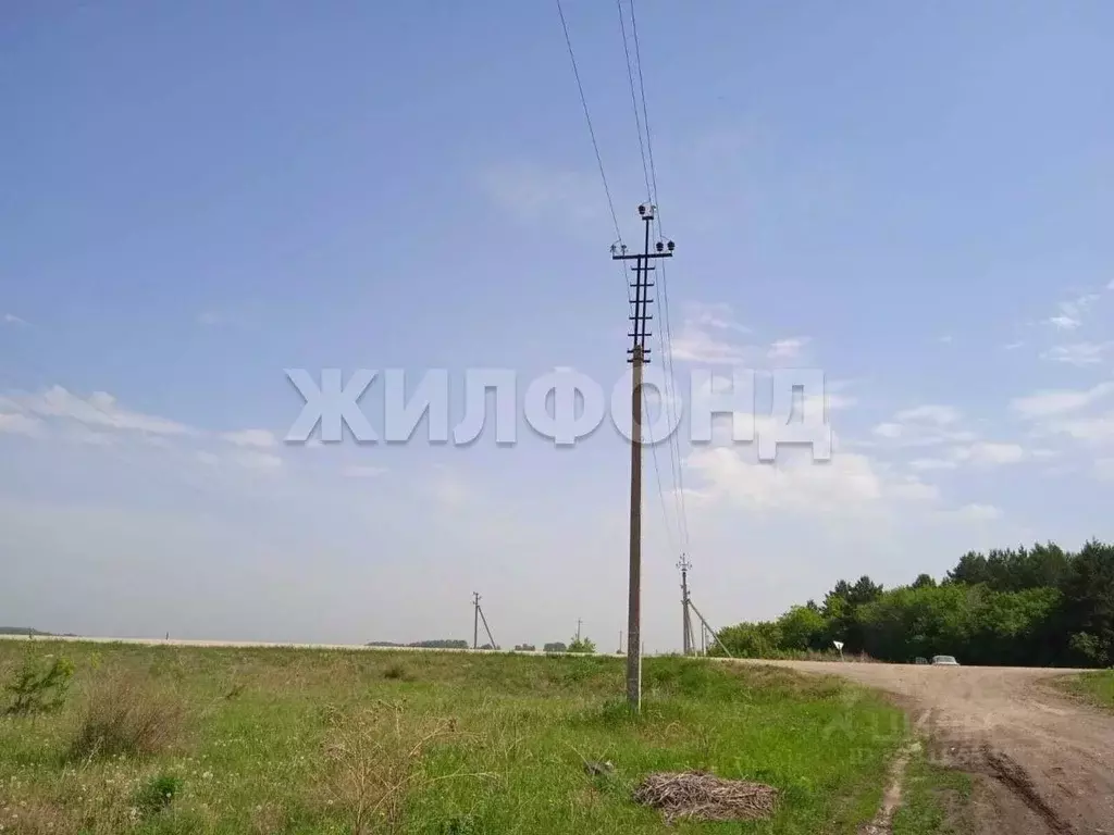 Участок в Новосибирская область, Колыванский район, Большая Семья СНТ  ... - Фото 1