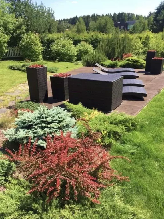 Коттедж в Московская область, Истра муниципальный округ, д. Чесноково, ... - Фото 2