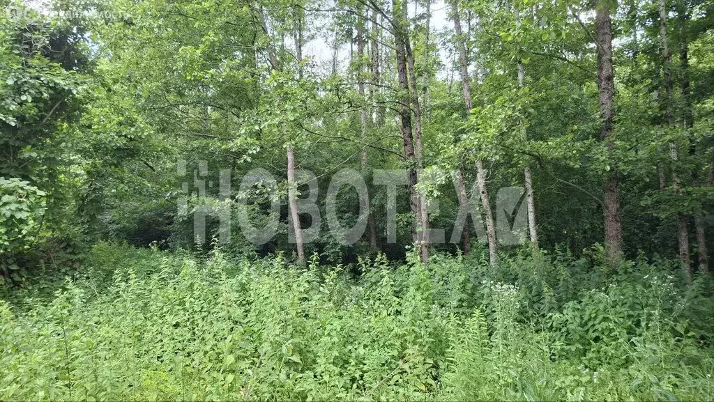 Участок в Горячий Ключ, Абрикосовая улица (10 м) - Фото 0