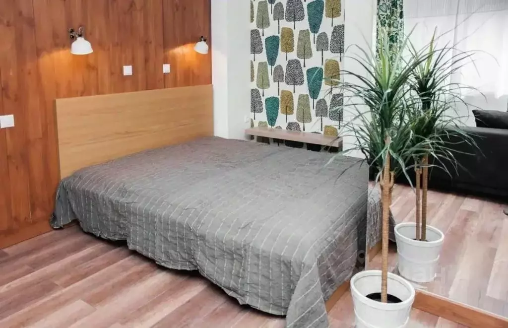 1-к кв. Псковская область, Псков Завеличье исторический район, ул. ... - Фото 2