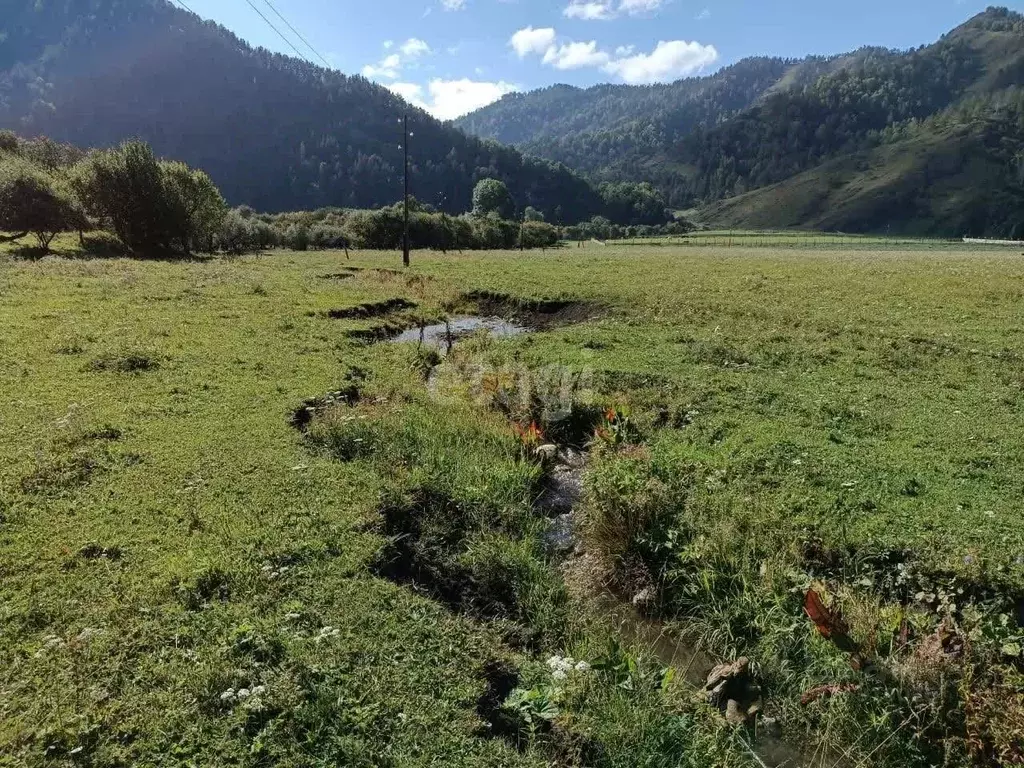 Участок в Алтай, Чемальский район, Радуга Жизни СНТ 19 (380.0 сот.) - Фото 0