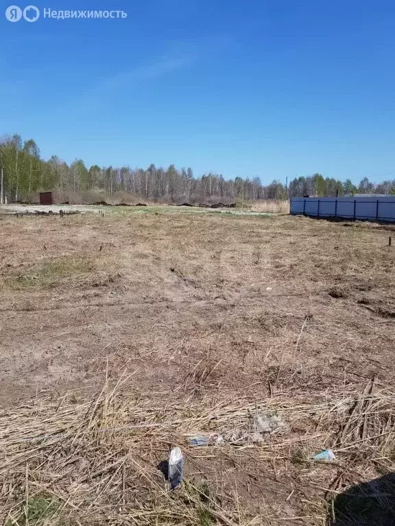 Участок в Тюмень, садовое товарищество Якорь, Сиреневая улица (6.3 м) - Фото 1