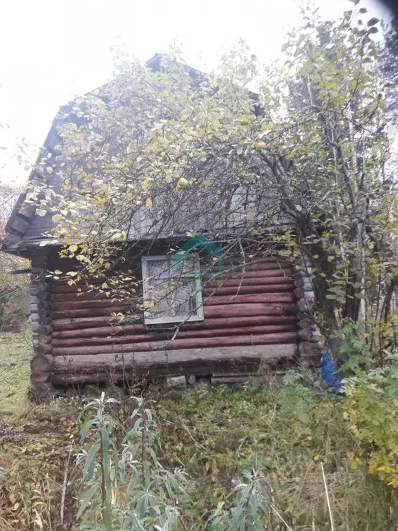 Участок в Ленинградская область, Волховский район, Кисельнинское ... - Фото 2