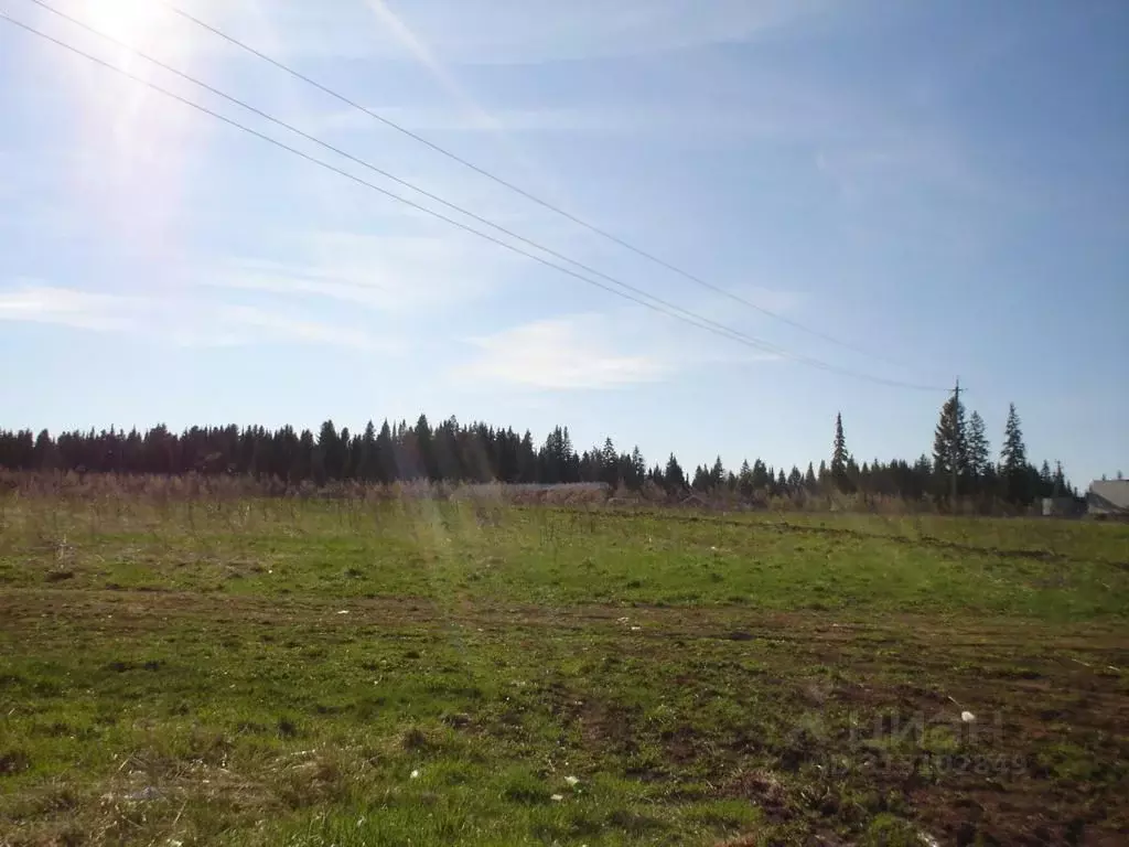 Участок в Пермский край, Добрянский городской округ, с. Красная Слудка ... - Фото 0