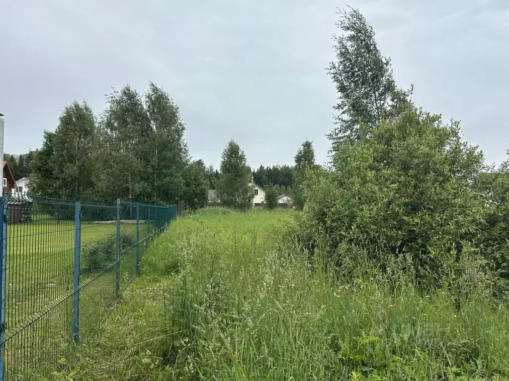 Участок в Калужская область, Боровский муниципальный округ  (8.0 сот.) - Фото 1