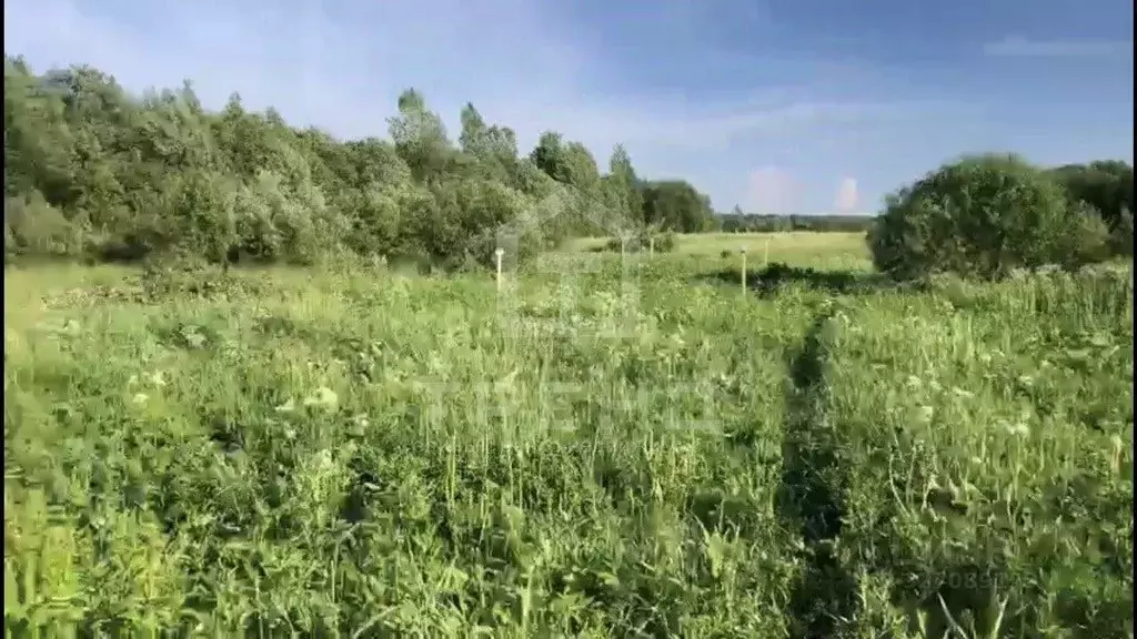 Участок в Ленинградская область, Всеволожский район, Куйвозовское ... - Фото 1