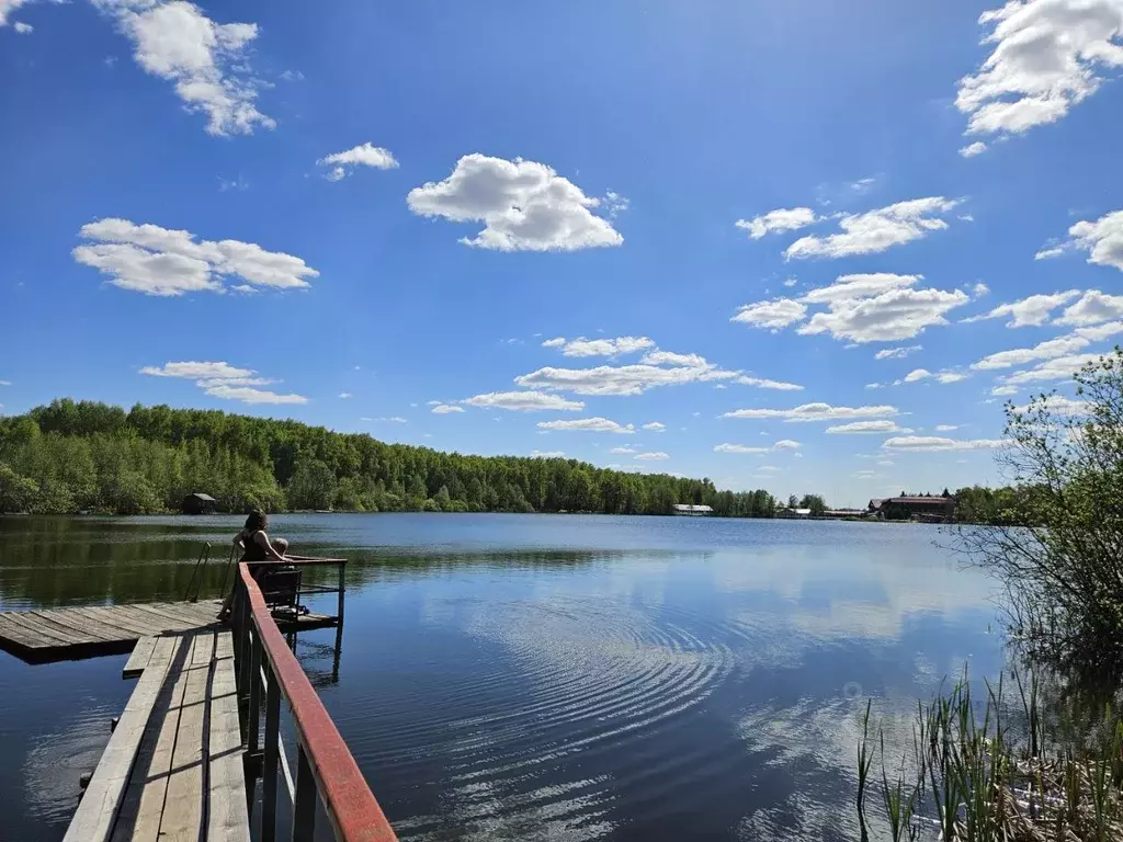 Участок в Московская область, Щелково городской округ, СНТ Авиатор ... - Фото 0