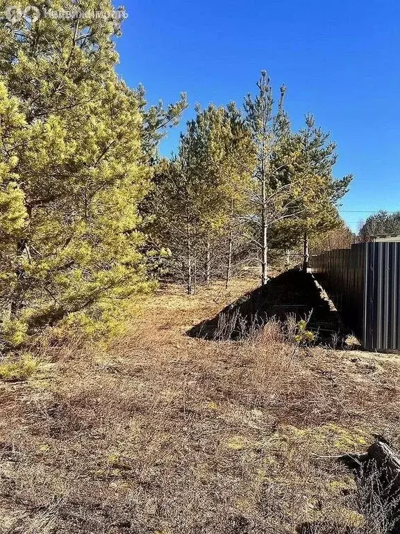 Участок в Владимир, улица Журавлиха, 54 (7.1 м) - Фото 0