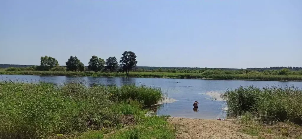 Дом в Тамбовская область, Сосновский муниципальный округ, с. ... - Фото 2