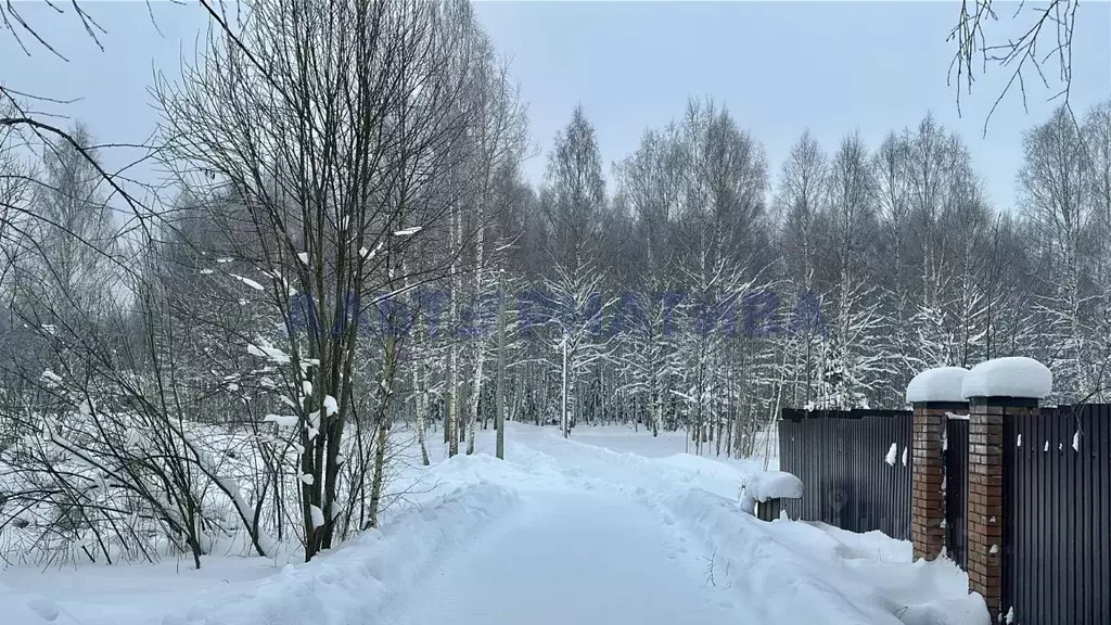 Участок в Ярославская область, Переславль-Залесский муниципальный ... - Фото 2