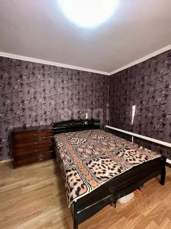 Дом в Белгородская область, Алексеевка Степная ул., 20 (155 м) - Фото 2