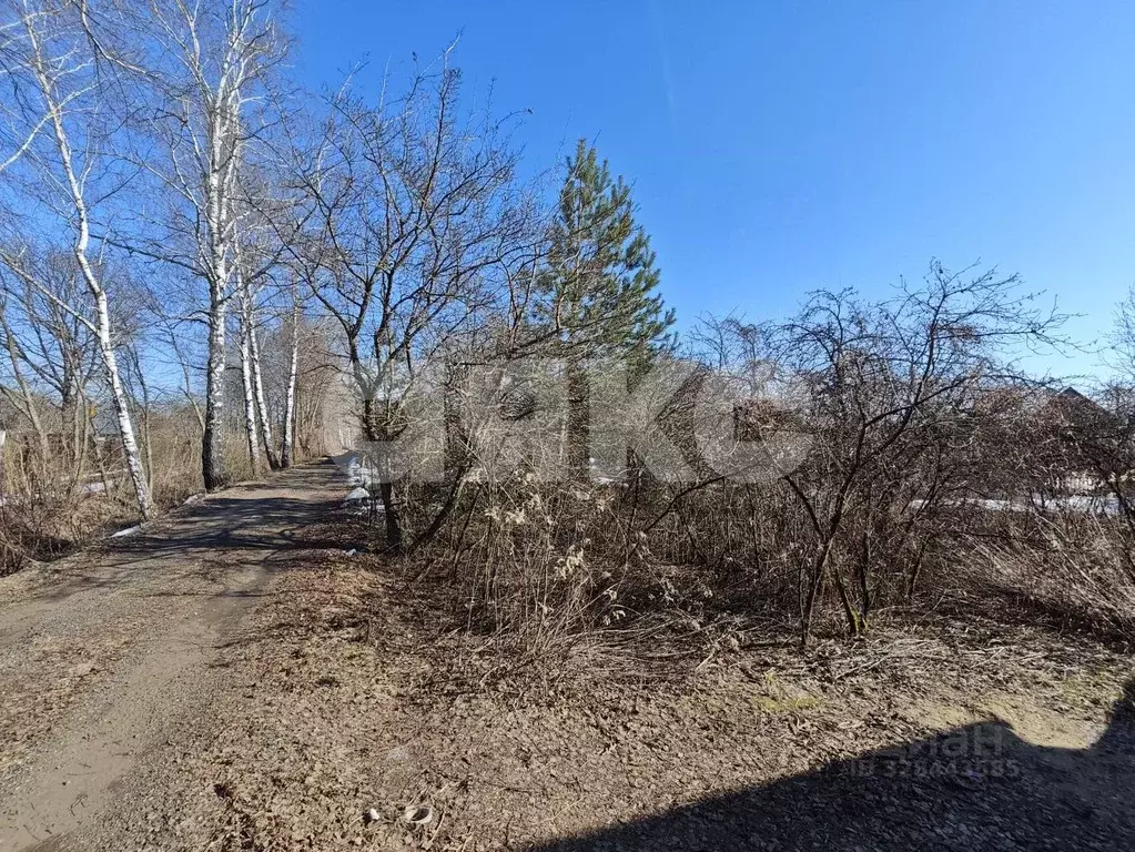 Участок в Московская область, Раменский муниципальный округ, Полет СНТ ... - Фото 1