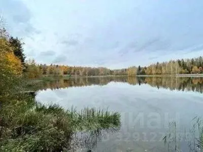 Участок, 9.6 сот., поселения (ижс) - Фото 1