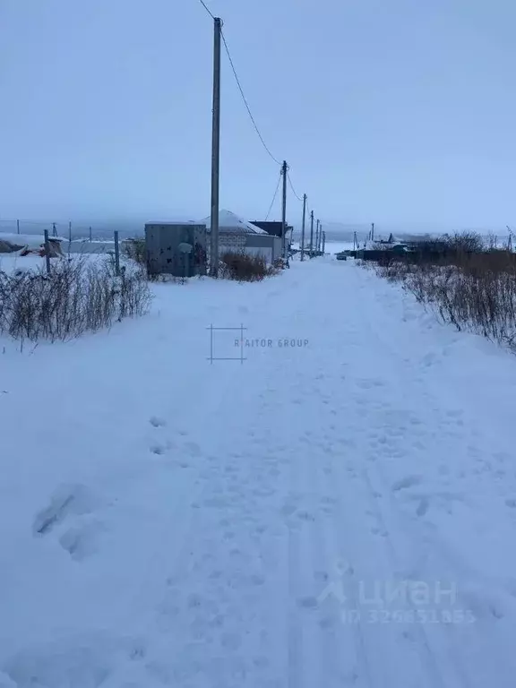 Участок в Новосибирская область, Искитимский район, Мичуринский ... - Фото 2