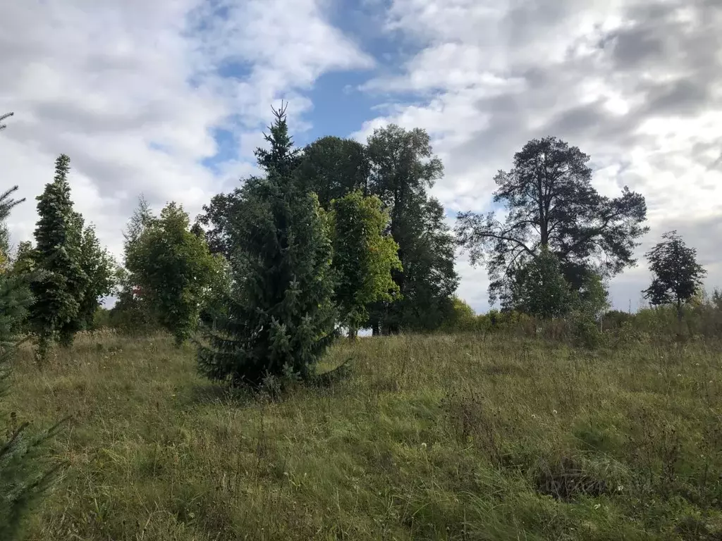 Участок в Московская область, Одинцовский городской округ, д. Дарьино, ... - Фото 1