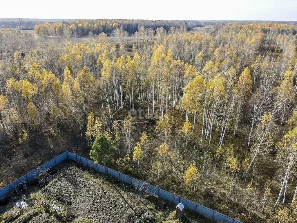 Участок в Тюменская область, Нижнетавдинский район, Моторостроитель ... - Фото 1