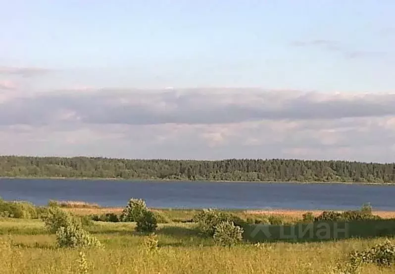 Участок в Псковская область, Пушкиногорский район, Велейская волость, ... - Фото 0