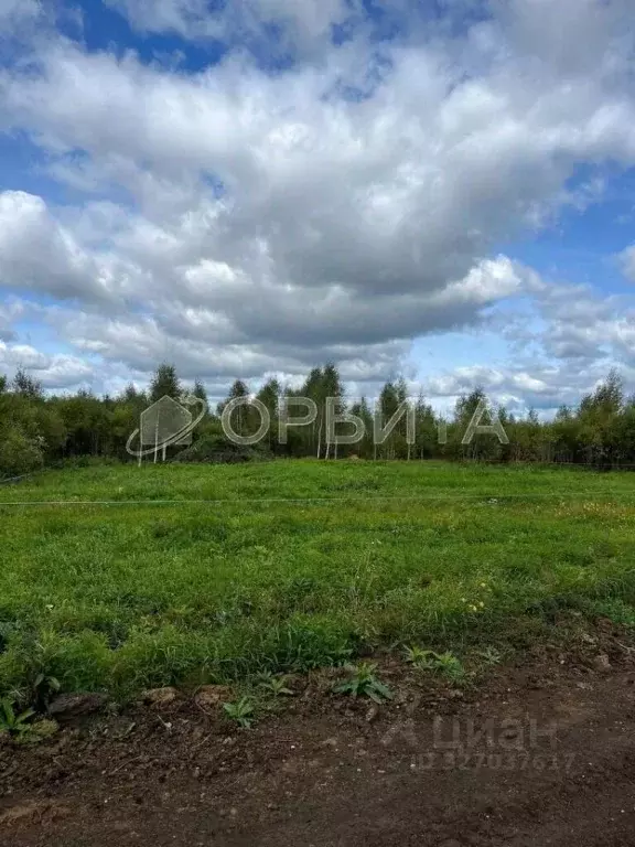 Участок в Тюменская область, Тюменский муниципальный округ, с. Кулига, ... - Фото 2