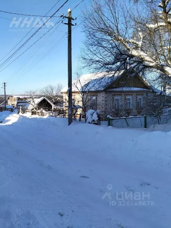 Дом в Нижегородская область, Богородский муниципальный округ, с. ... - Фото 2